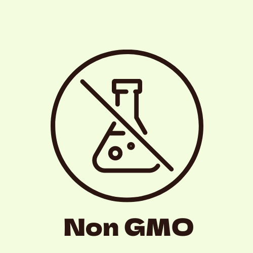 A Non-GMO symbol featuring a clean, animated design with a green leaf and the text "Non-GMO" to emphasize that Noona's products are made without genetically modified ingredients, ensuring a natural and healthy choice for consumers.