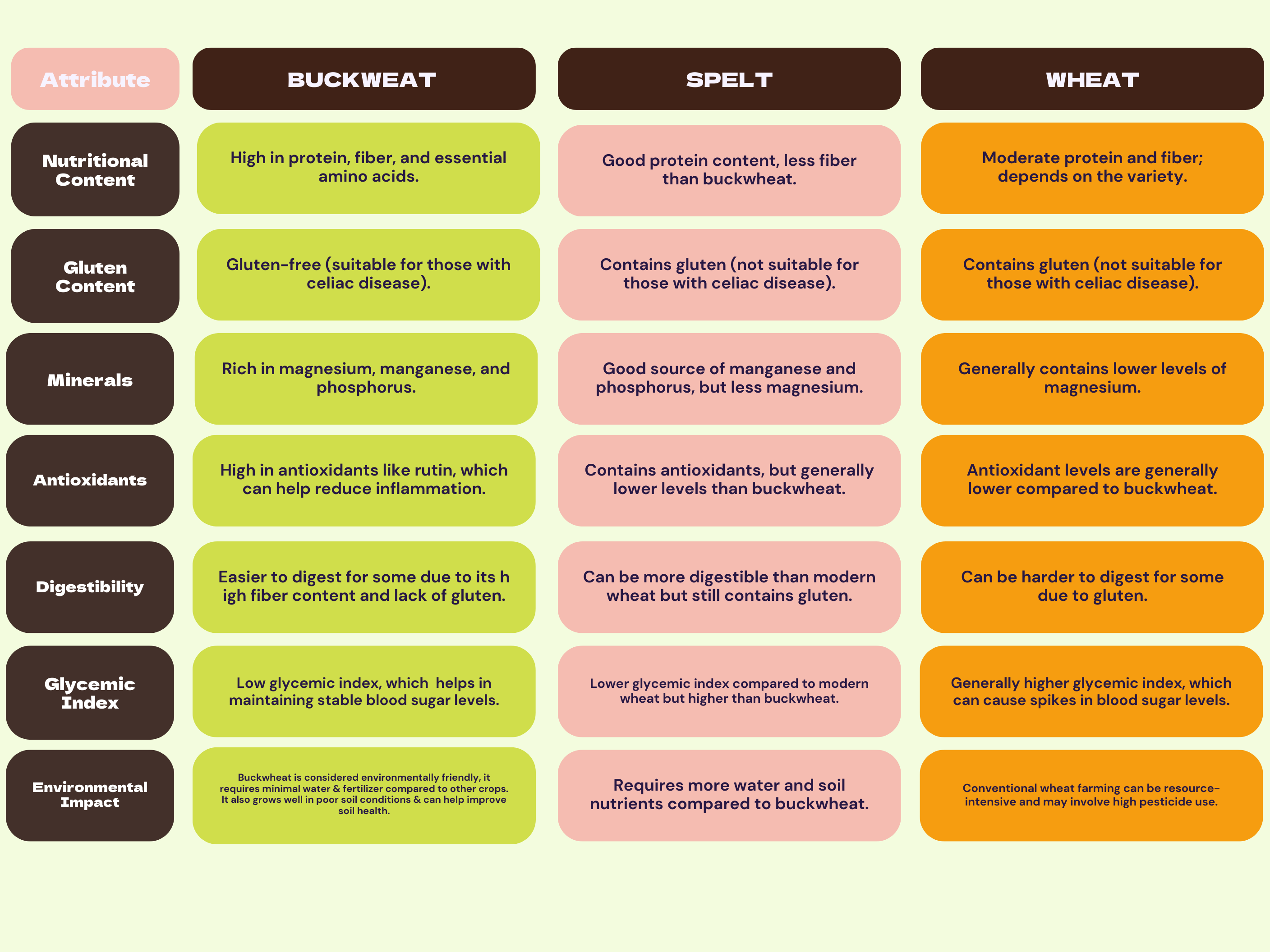 A comparison chart of buckwheat, spelt, and wheat. Buckwheat is gluten-free, high in protein, fiber, antioxidants, and easier to digest. Spelt and wheat contain gluten, with spelt offering more fiber and nutrients than wheat. Buckwheat has a lower glycemic index and a smaller environmental impact than both.